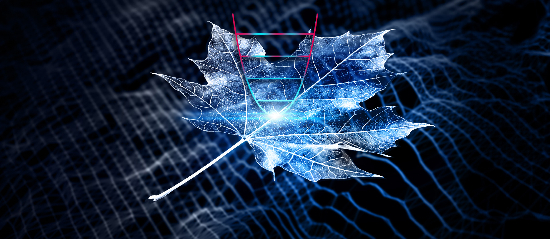 Quantum Physics in Leaf Green