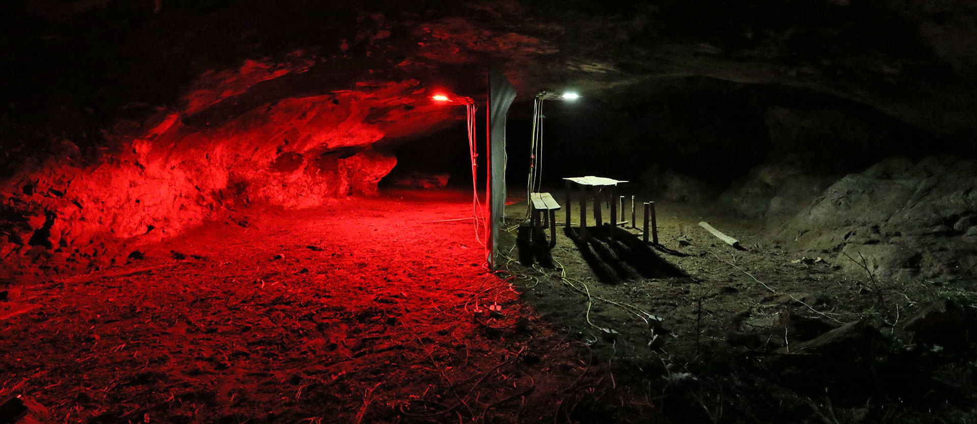 Illumination drives bats out of caves 