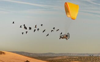 Zwischen Himmel, Meer und Mikroskop