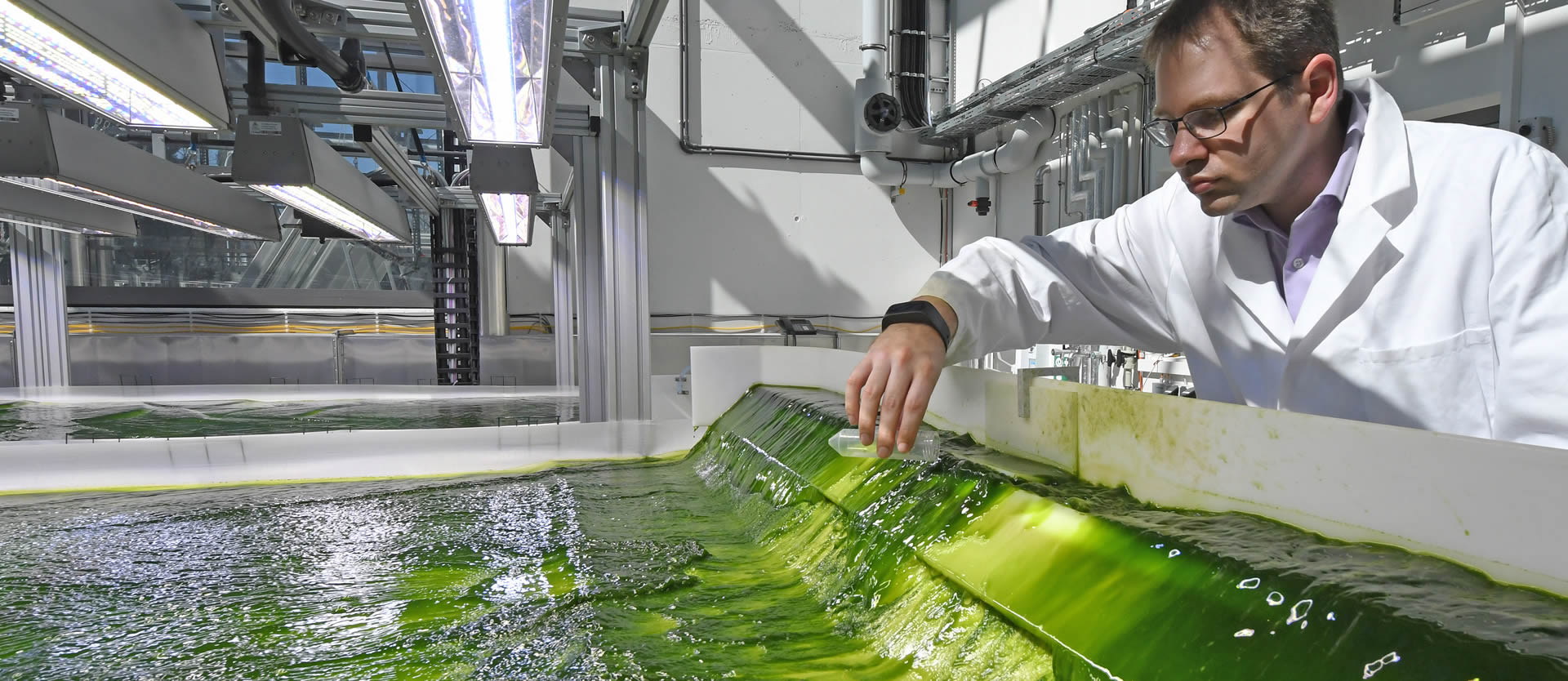 Algae and the Future of Aviation