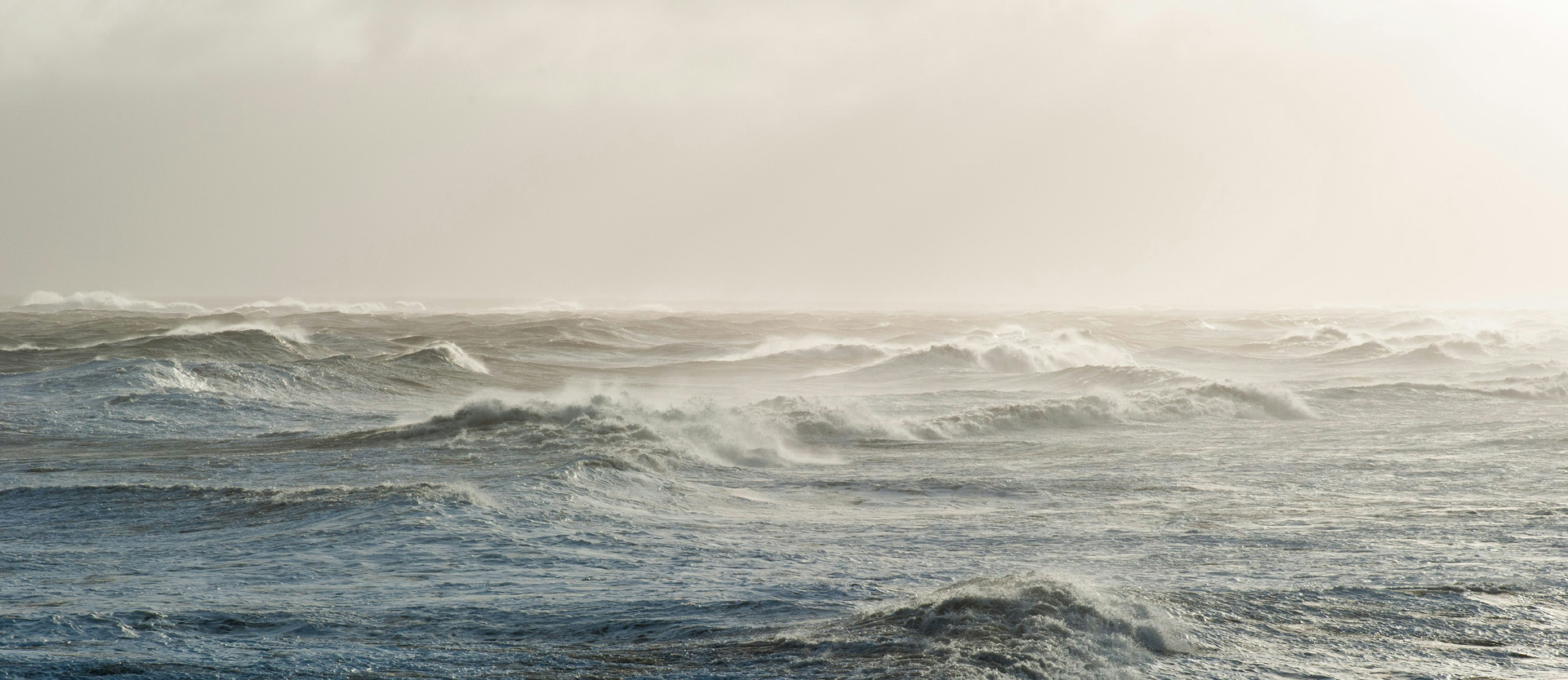 Zwischen Wind und Wasser